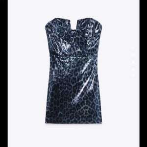 Zara dress
